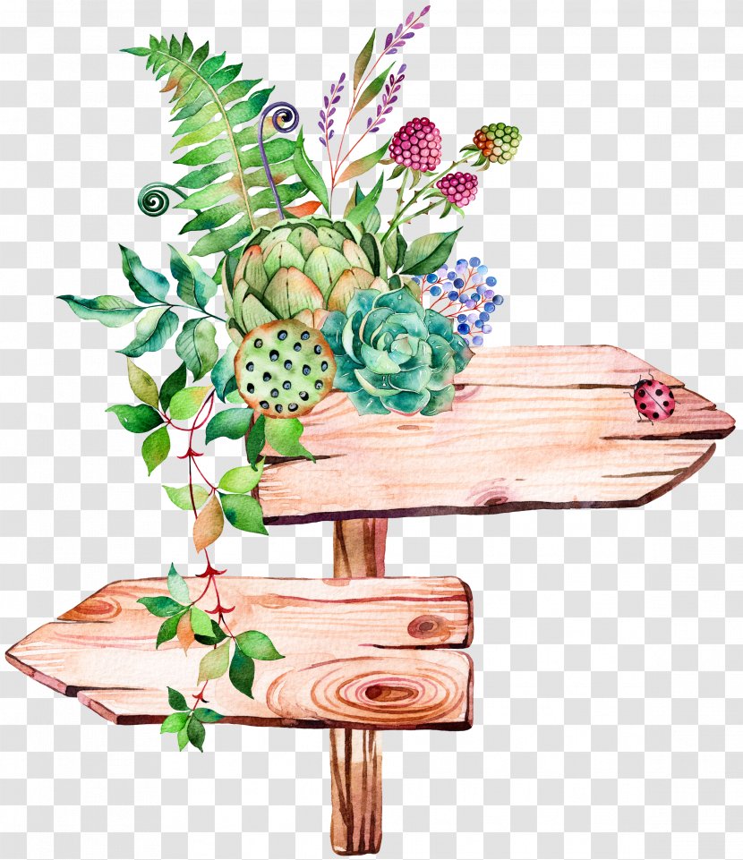 Succulent Plant Watercolor Painting Illustration - Hand-painted Signs Transparent PNG