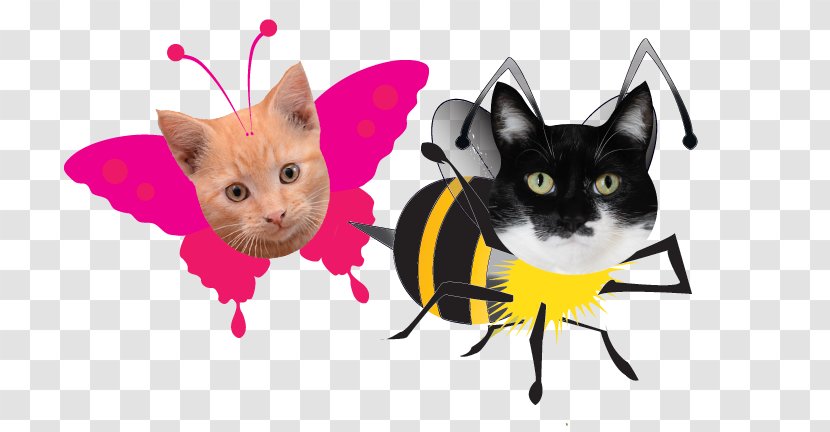 Whiskers Kitten Cat Waffle Snout - Float Like A Butterfly Sting Bee Transparent PNG