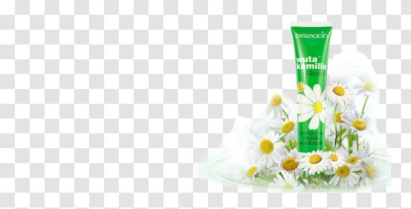 Lotion Germany Cream Iron - Floristry - Small Chamomile Hand Transparent PNG