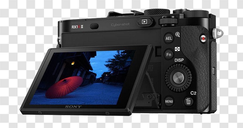 Sony Cyber-shot DSC-RX1R II Digital Camera RX1R 2470 Megapixel Optical Twice Professional Compact Point-and-shoot Full-frame SLR - Flower - Audio Tape Backup Transparent PNG