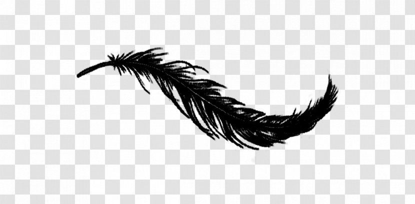 Bird White Feather Irresistible - Flower Transparent PNG