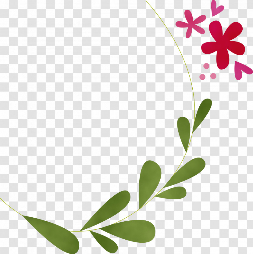 Flower Plant Stem Leaf Petal Flora Transparent PNG