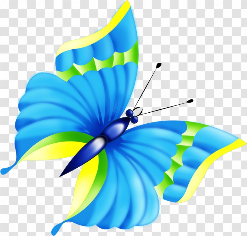 Butterfly Animation Clip Art - Drawing - Dragonfly Transparent PNG