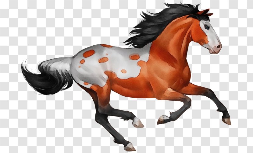 Horse Animal Figure Stallion Mane Sorrel - Toy Animation Transparent PNG