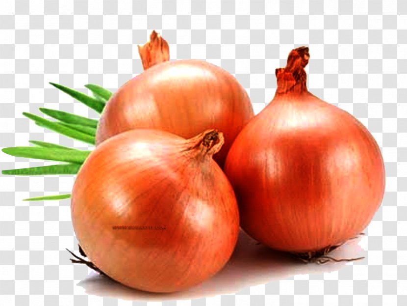 Yellow Onion Organic Food French Soup Red - Cartoon Transparent PNG