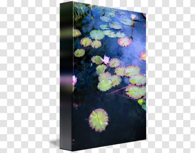 Painting Floral Design Art Printmaking Color - Claude Monet - Water Lilly Transparent PNG