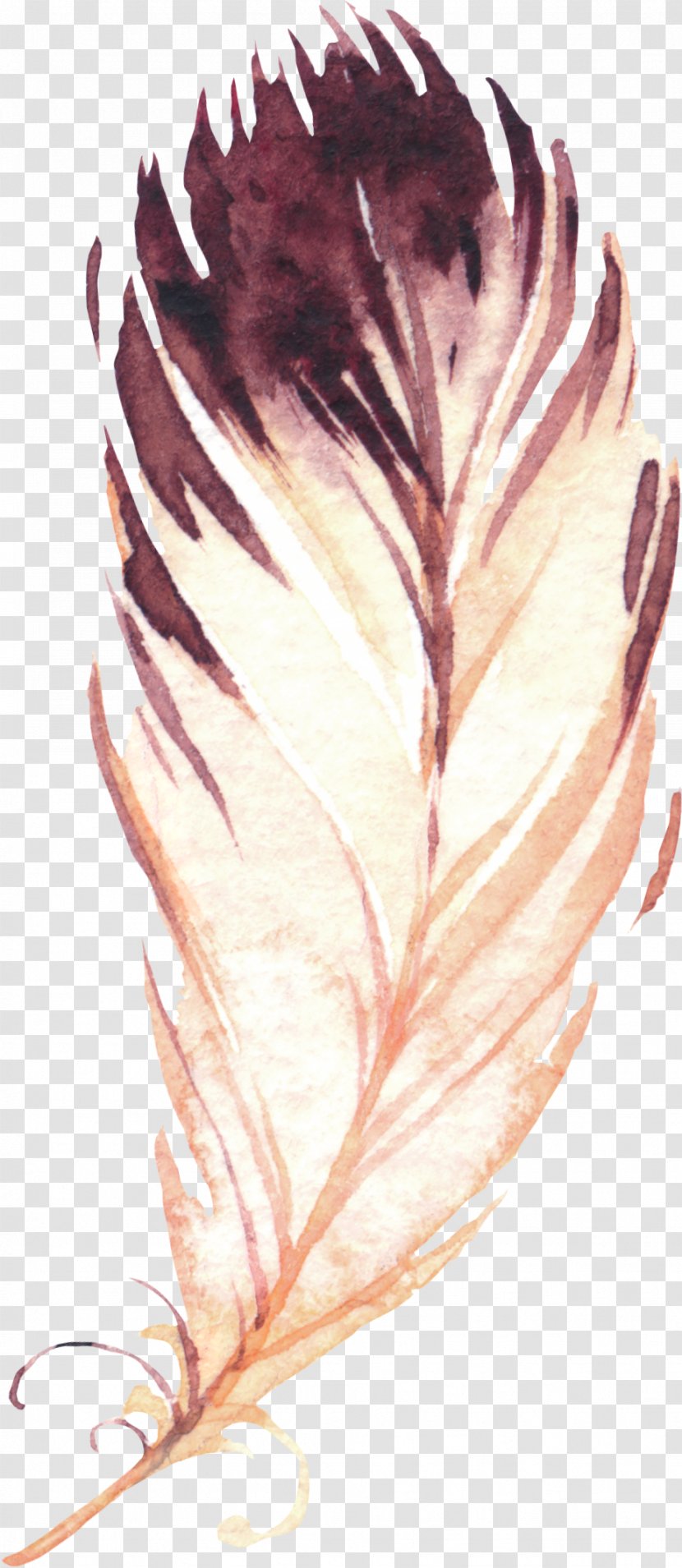 Feather Euclidean Vector White - Leaf - Hand-painted Feathers Transparent PNG