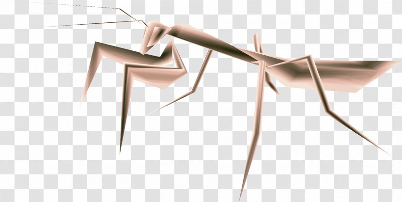 Insect Line Angle Wood - Models Transparent PNG