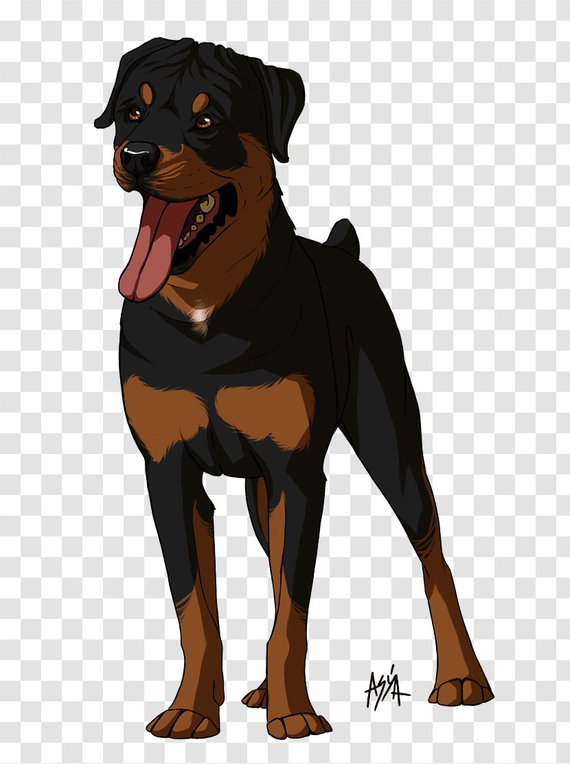 Dog Breed Rottweiler Snout Animated Cartoon - Like Mammal - Vertebrate Transparent PNG