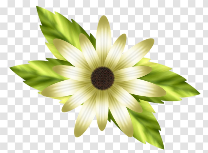 Petal Lilium White Flower - Lily Transparent PNG