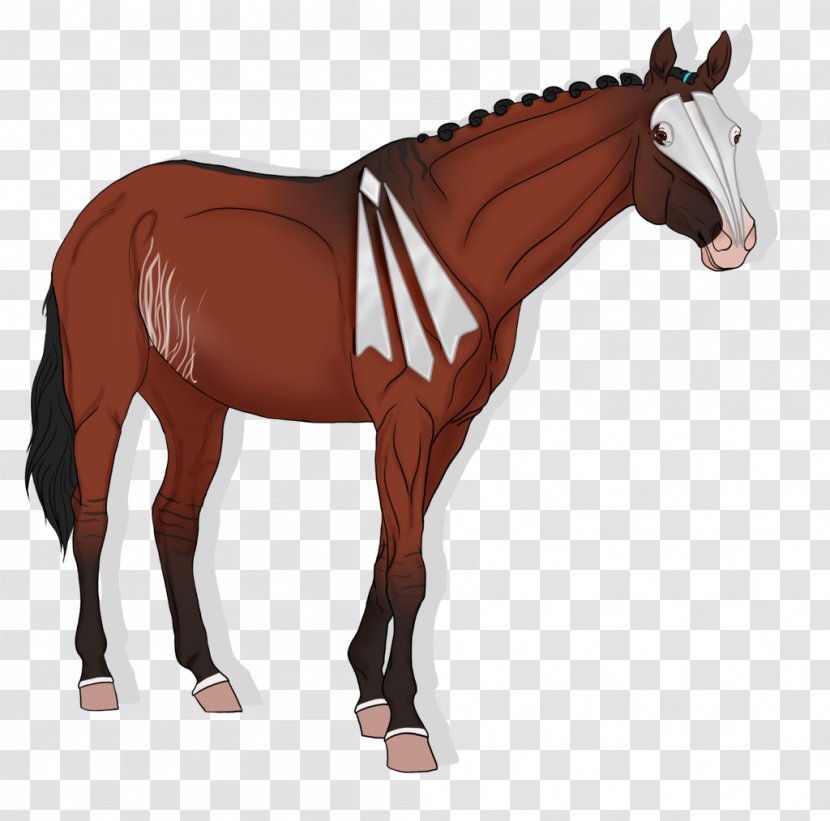 Arabian Horse American Paint Stallion Mare Mustang - Mane Transparent PNG