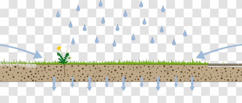 Infiltration Soil Stormwater Precipitation - Water - Tree Transparent PNG
