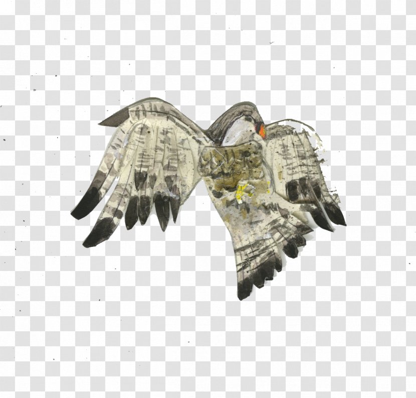 Bird Of Prey Jewellery Transparent PNG