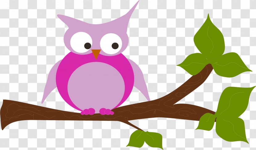 Owl Beak Bird Clip Art - Organism Transparent PNG