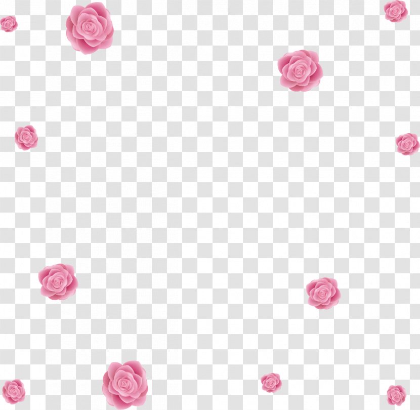 Beach Rose Pink Flower - Creative Roses Sea Transparent PNG
