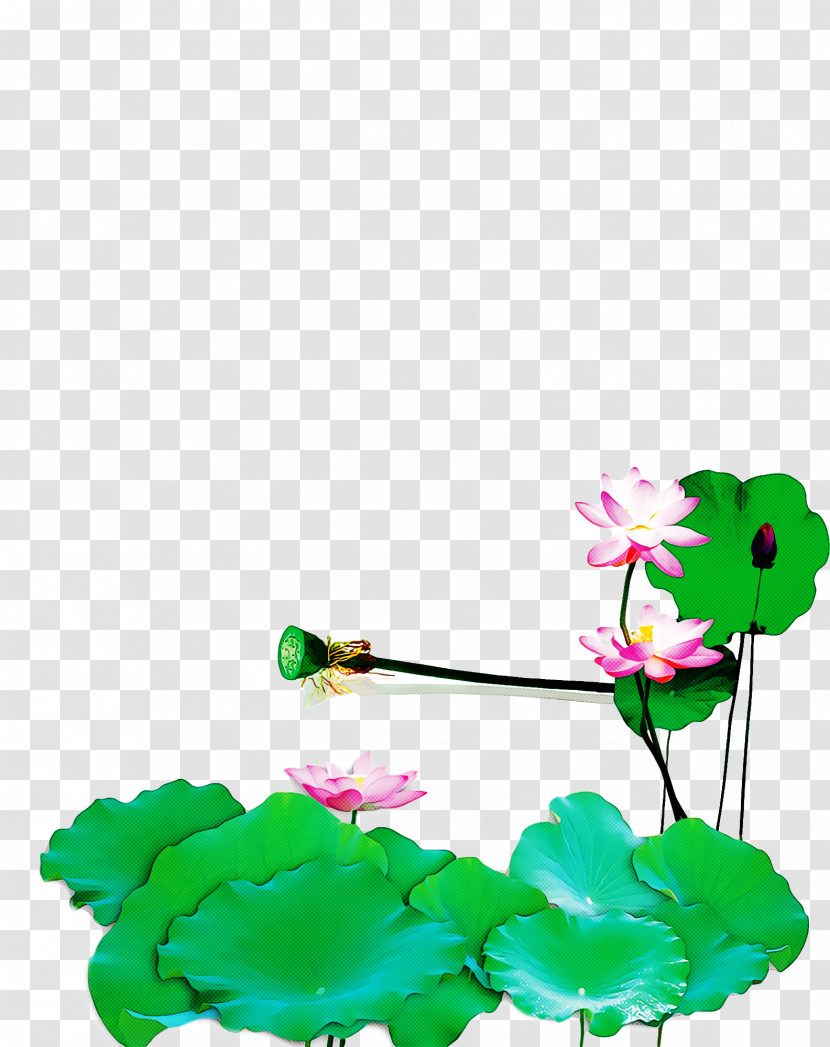 Green Flower Plant Aquatic Plant Petal Transparent PNG