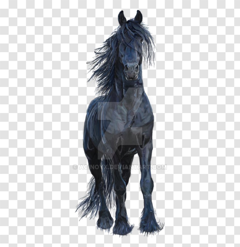 Friesian Horse Stallion Mustang Arabian Pony - Animal - Watercolor Transparent PNG