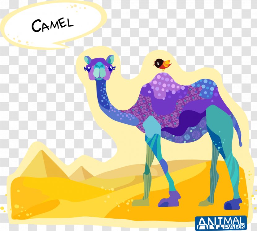 Dromedary Bactrian Camel Cartoon Drawing - Creative Vector Transparent PNG