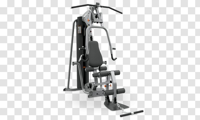 Fitness Centre Strength Training Exercise Equipment Life - Structure Transparent PNG