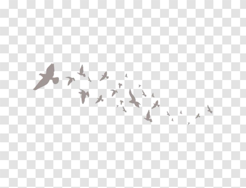 Bird Flight Flock Clip Art - Drawing Transparent PNG