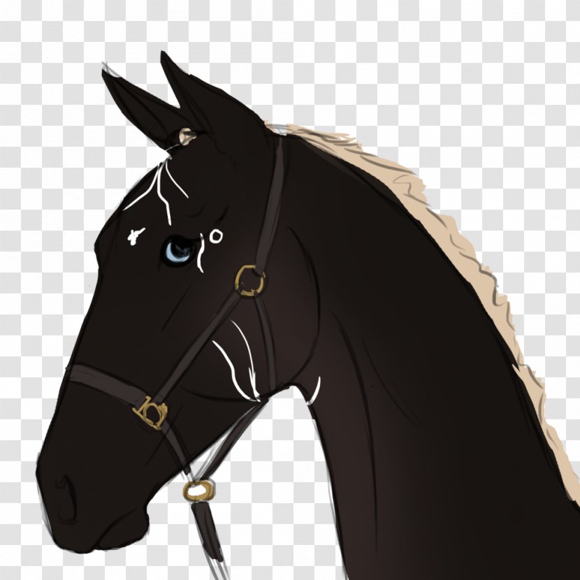 Mustang Bridle Stallion Rein Horse Harnesses Transparent PNG