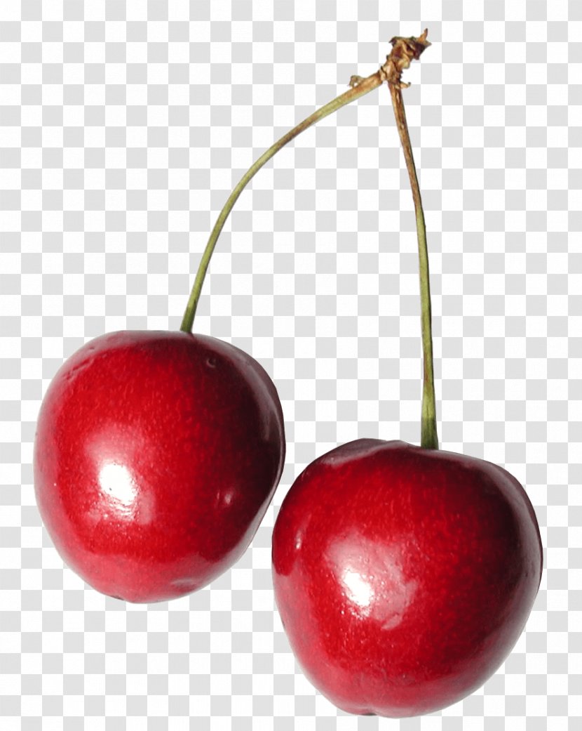 Summer Fruit Cherry Drupe - Red Image Download Transparent PNG