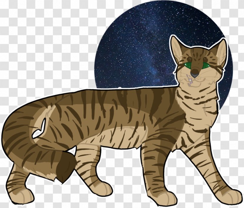 Wildcat Kitten Tabby Cat Mammal - Tail - Luo Transparent PNG