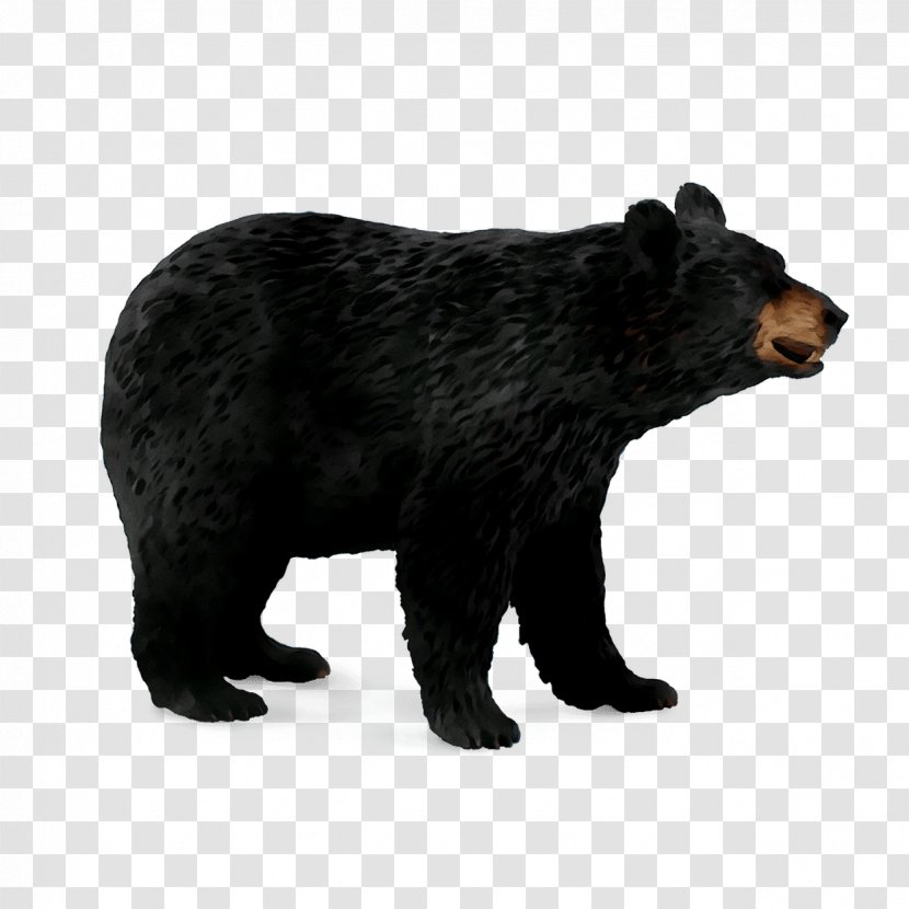 CollectA Camaleon Camerunes Sailfin - Bear - L American Black Grizzly Transparent PNG