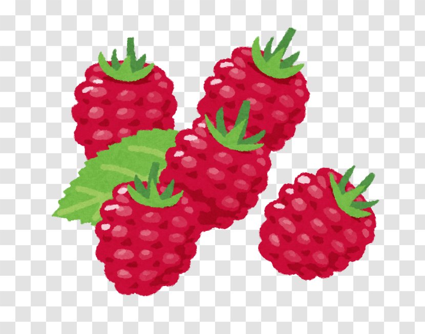 Raspberry Food Fruit Strawberry - Raspberries Blackberries And Dewberries Transparent PNG