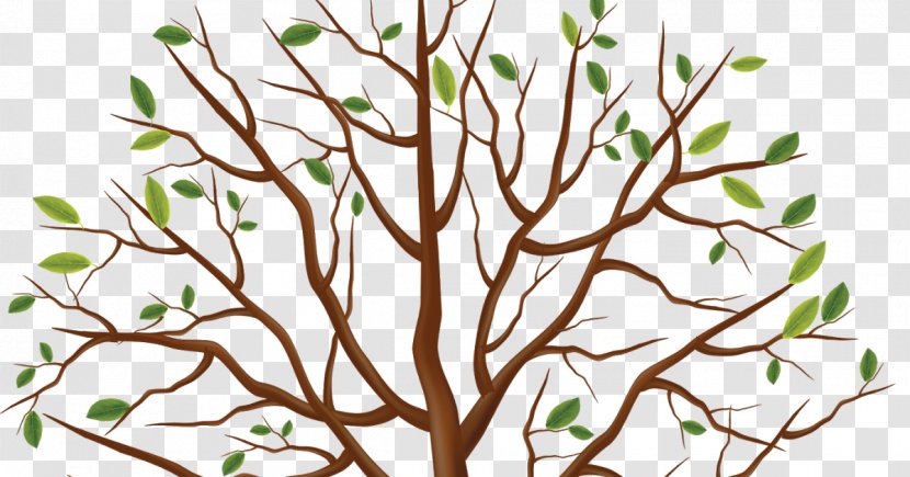 Tree Trunk Clip Art - Plant Transparent PNG