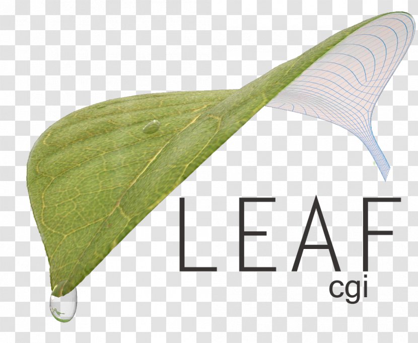 Leaf - Wing - Design Transparent PNG
