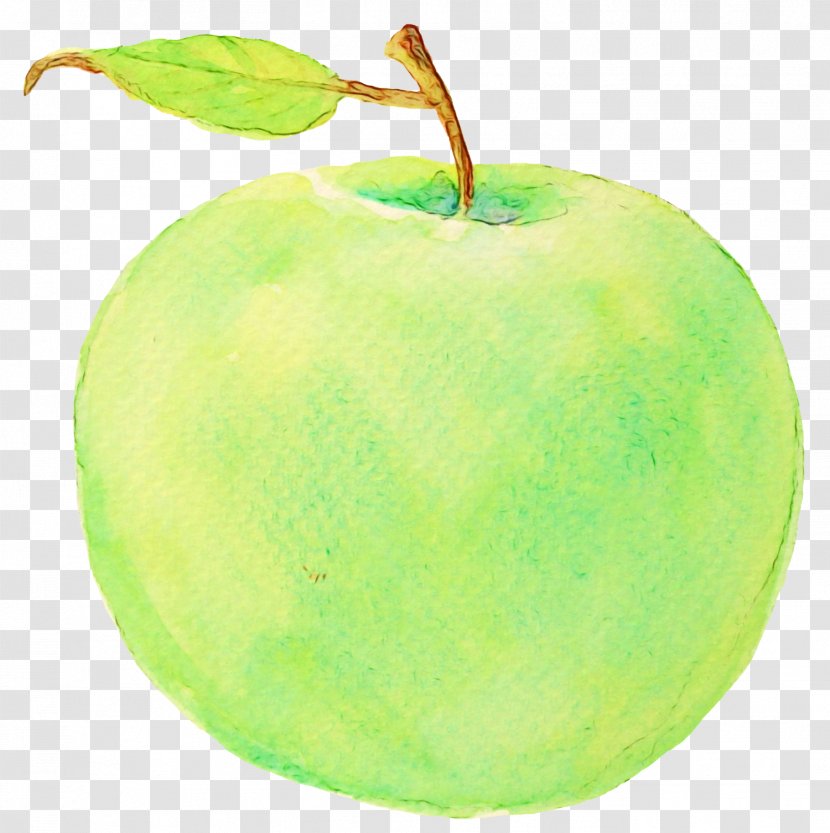 Granny Smith Green Apple Fruit Plant - Seedless Pectin Transparent PNG