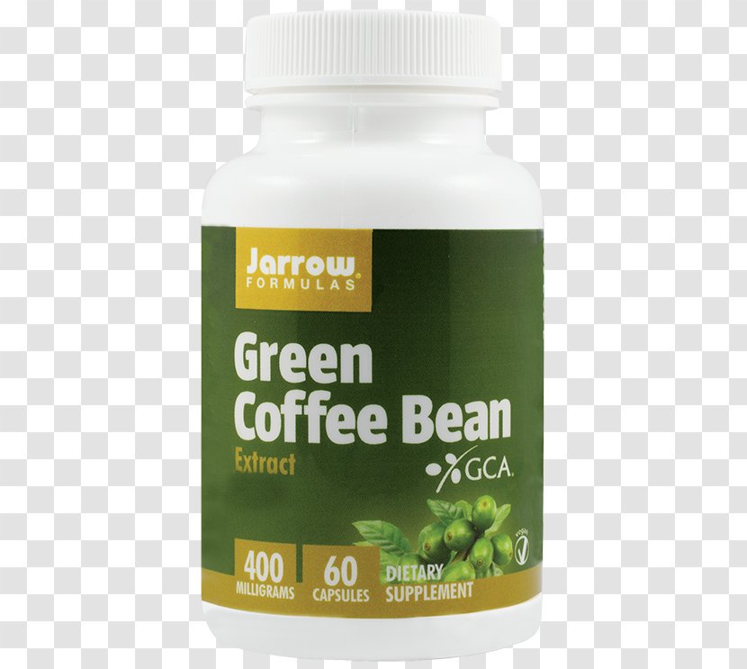 Green Coffee Extract Tea Juice - Dietary Supplement - Bean Transparent PNG
