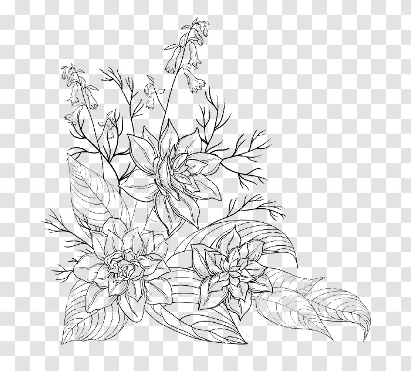 Clip Art Illustration Drawing Flower Image - Lily - Enlisted Army Transparent PNG