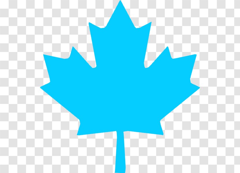 Canada Maple Leaf Clip Art - Symmetry - Vector Transparent PNG