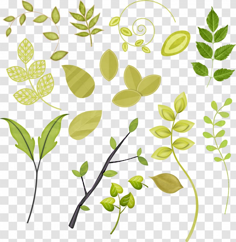 Leaf Plant Stem Floral Design Clip Art Transparent PNG