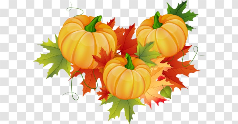Pumpkin Decorating Clip Art Openclipart Autumn - Fall Pumpkins Orange And Plump Transparent PNG