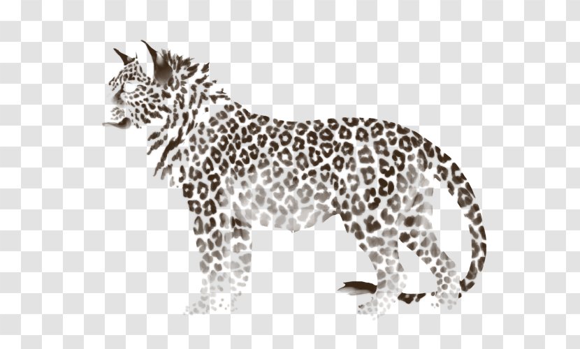 Whiskers Leopard Cheetah Jaguar Cat - Black And White Transparent PNG