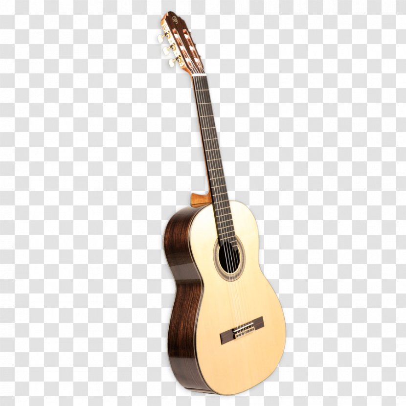 Acoustic Guitar Ukulele Tiple Cuatro Cavaquinho - Cartoon Transparent PNG