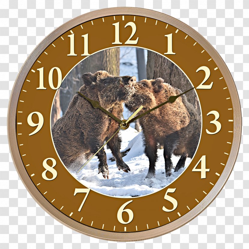 Clock Clothing Accessories - Home - Boar Transparent PNG