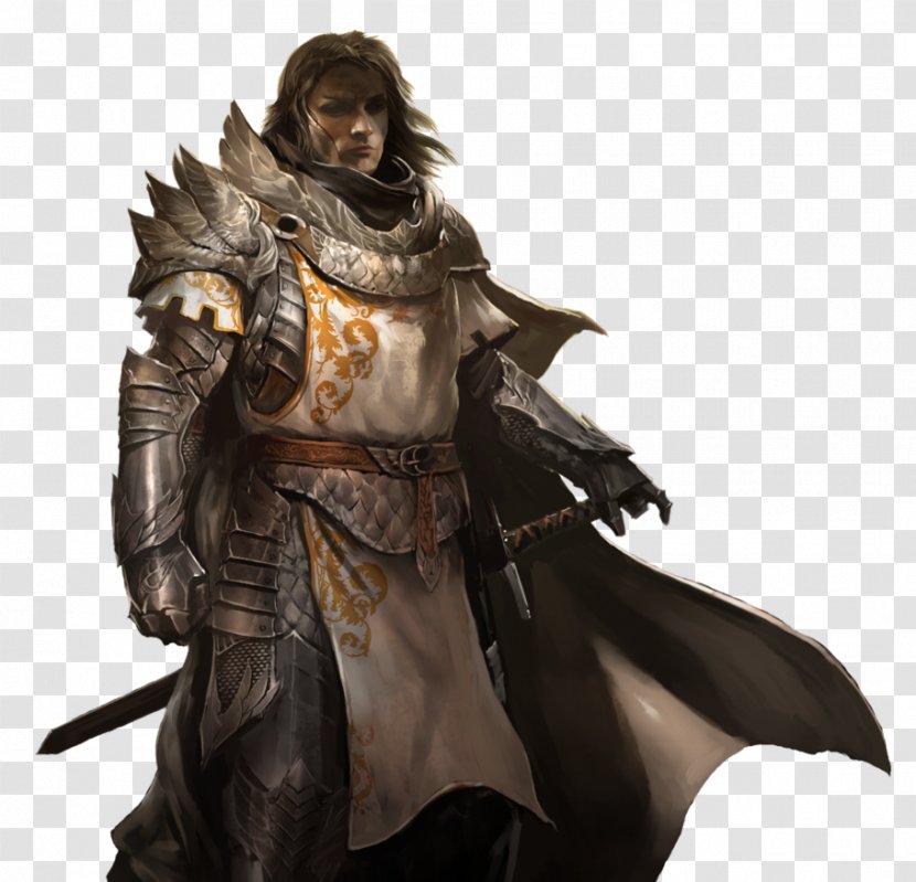 Guild Wars 2 Dungeons & Dragons Paladin Neverwinter Nights Video Game - Arenanet - Warrior Transparent PNG