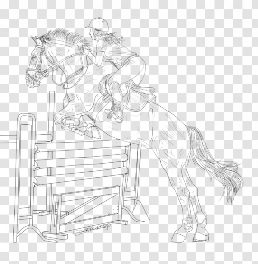 Pony Horse Line Art Mane Sketch - Monochrome Transparent PNG
