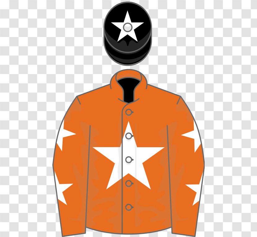 2018 Grand National 2016 Aintree Racecourse Irish Horse Racing - Uniform - Star Alliance Transparent PNG