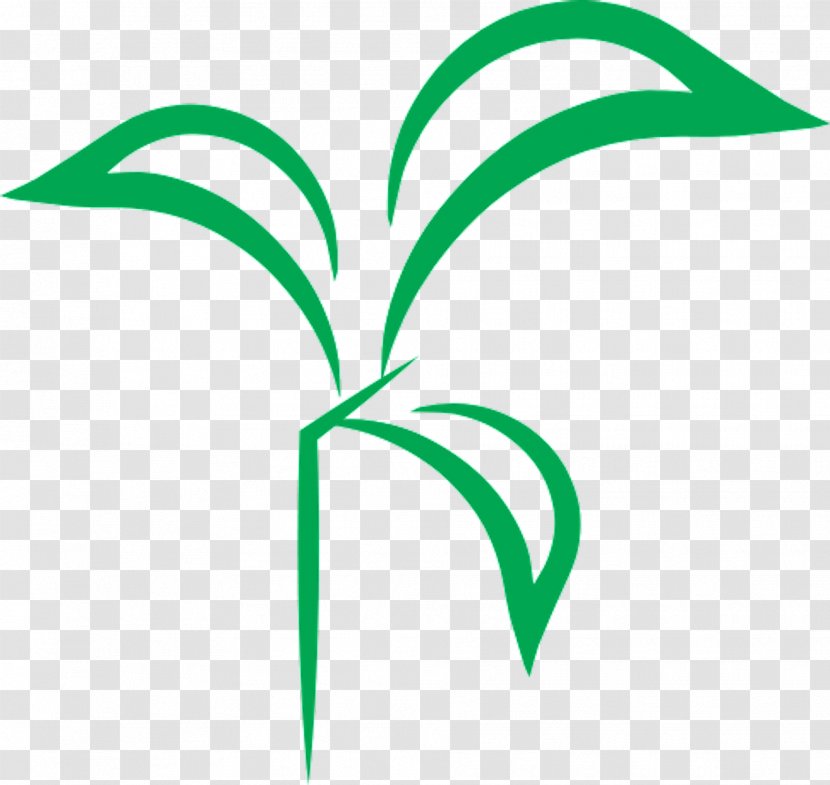 Leaf Line Angle Plant Stem Clip Art Transparent PNG