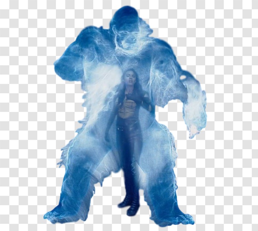 Vixen DC Comics Character - Dc - Nice Gorilla Transparent PNG