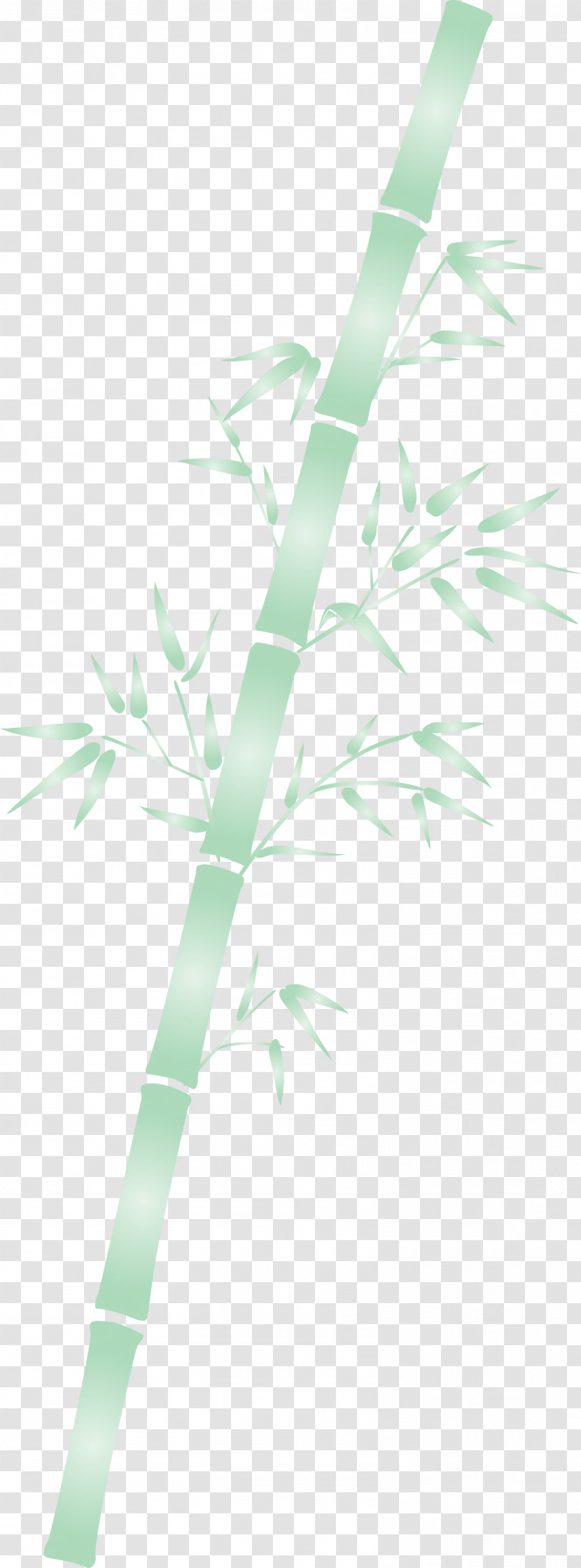 Bamboo Leaf Transparent PNG