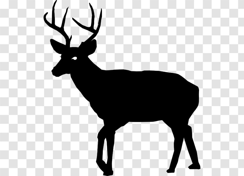 White-tailed Deer Hunting Clip Art - Vector Transparent PNG