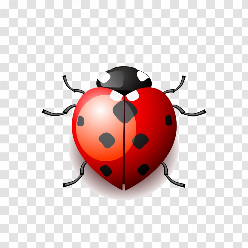 Drawing Cartoon Ladybird Clip Art - Ladybug Transparent PNG
