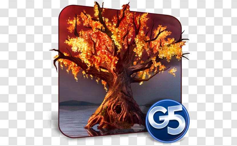 Spirit Walkers: Curse Of The Cypress Witch (Full) Pirates & Pearls: A Treasure Matching Puzzle Mystery Opera: Phantom's Secret G5 Entertainment AB (publ) - Tree - Android Transparent PNG