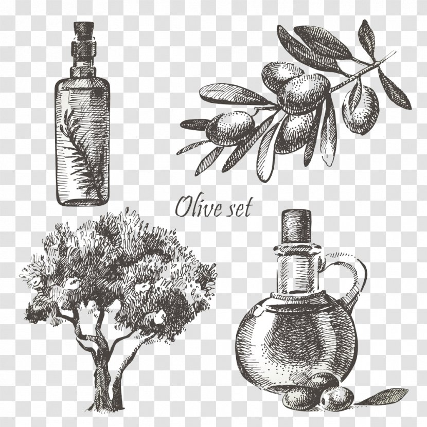 Olive Oil Stock Photography Illustration - Monochrome - Hand-painted Transparent PNG